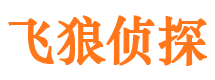 平遥市侦探公司